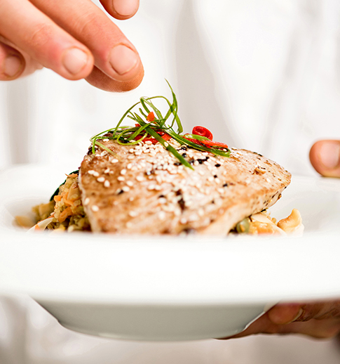 salmon meal
